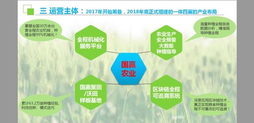 后疫情时代值得投资的农业农产品市场 政策调整下的商机与专业咨询建议