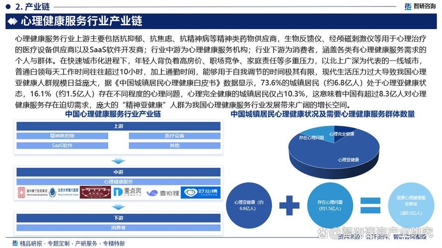 中国心理健康服务行业市场动态、发展方向及投资前景分析报告——投资咨询服务概览